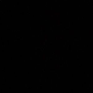 Meet your Posher, Charles